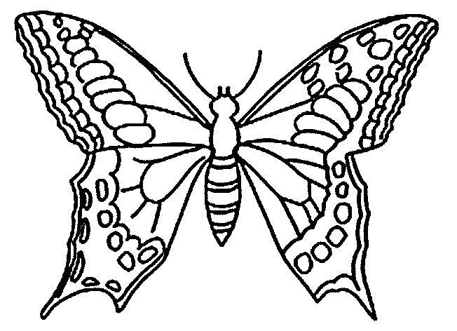 rub COLORIAGES PAPILLONS 7